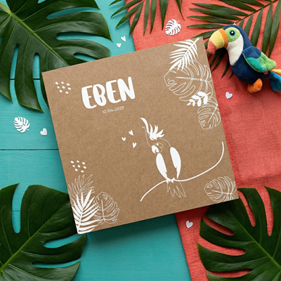 Faire-part de naissance Tropicool