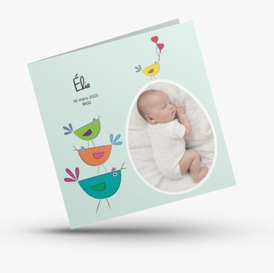 Faire-part de naissance Cuicui