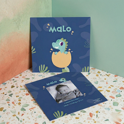 Faire-part de naissance Rawr